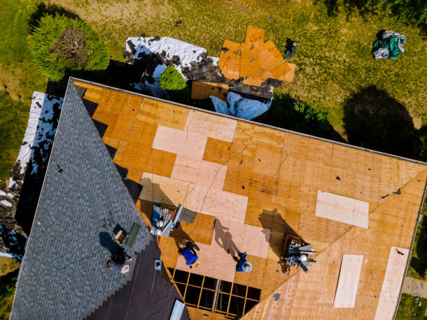 Best Roof Leak Repair  in Cornell, WI